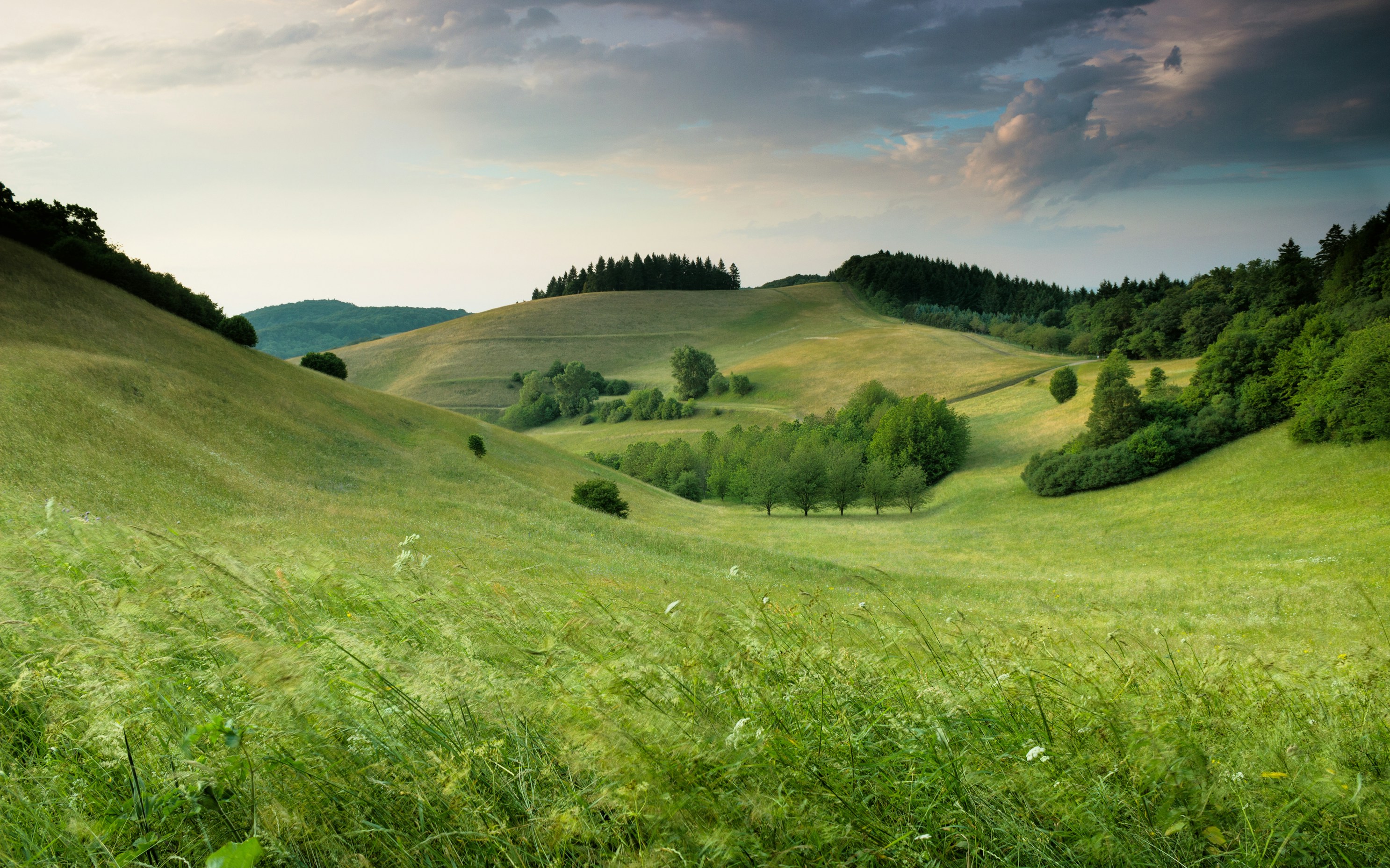 Aaroha Private Farms